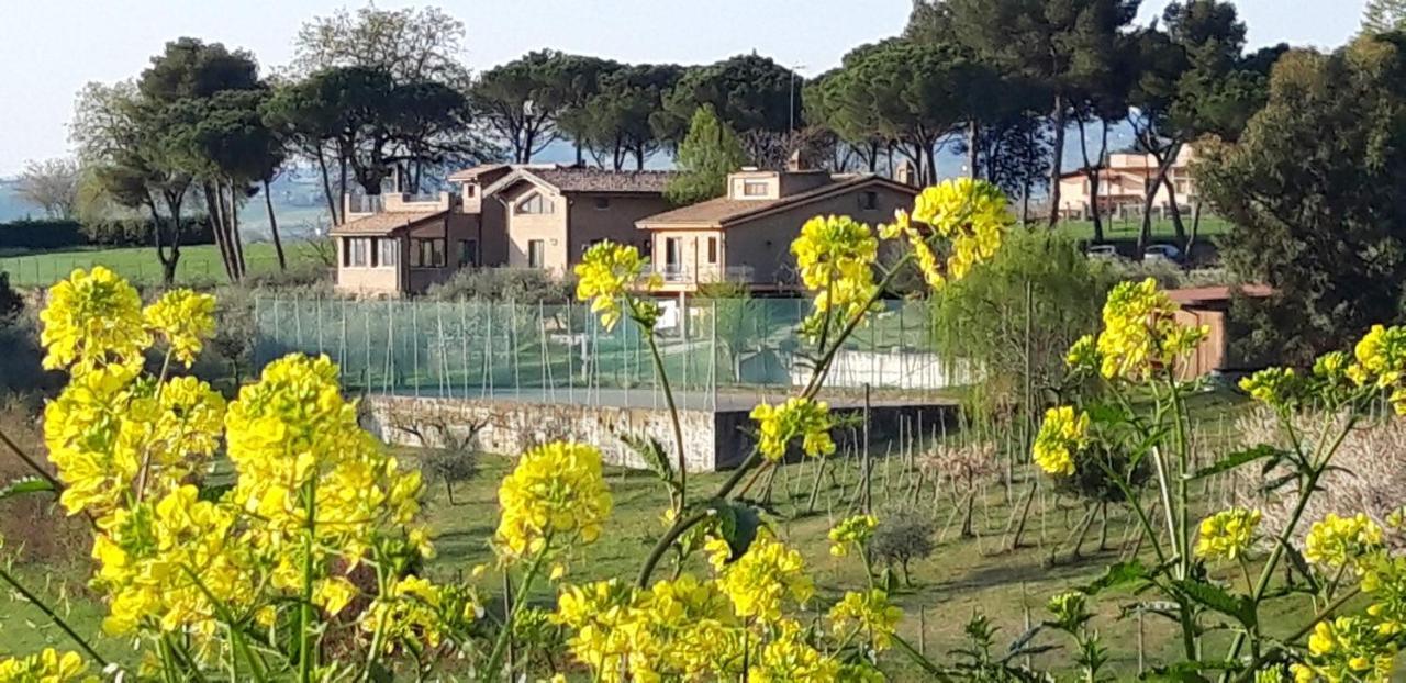 مبيت وإفطار ميسانو ادرياتيكو La Casa Nella Prateria المظهر الخارجي الصورة